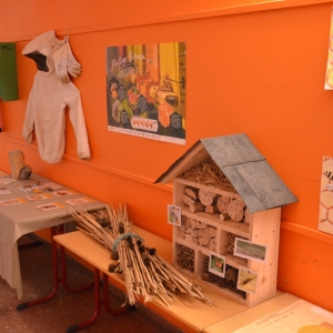 BHS-Schulfest_Aufbau_23_25