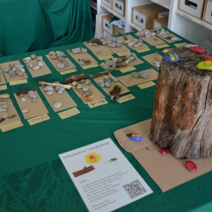 BHS-Schulfest_Aufbau_23_47